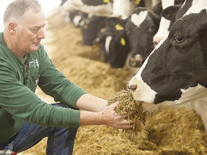 In the US, Nestlé is facilitating research to assess the efficacy of feed supplements, which have the potential to reduce enteric methane emissions.