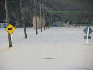 Flooding just north of Shannon.