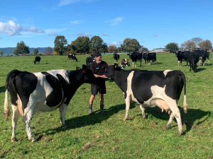 Parting with cows whose genetics date back 50 years won&#039;t be easy for Maurice Butler.