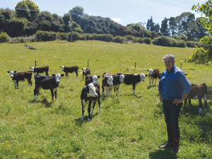 Ian Farrelly believes there is potential for tourism on his large-scale calf rearing operation in the Waikato.