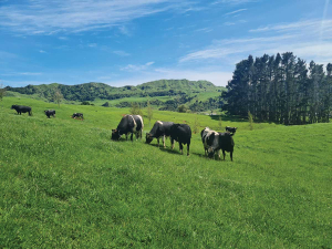 One of the methods of influencing breeding outcome involves linebreeding.