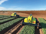 Kilter AX-1: First Autonomous Weeding Robot Lands in NZ