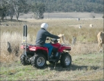 Quad bike safety in spotlight