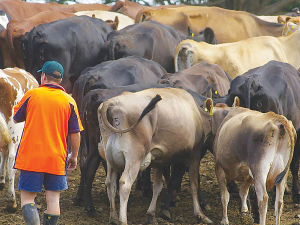 Farmers are being warned that the proposed fair pay agreements (FPAs) could cause upheaval in the agriculture sector.