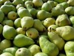 Pipfruit industry on track