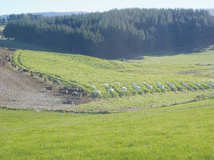 Farmers are being urged to have grazing contracts in place for this winter.