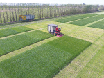 PBRA ryegrass trials: The New Zealand Plant Breeders Research Association collectively runs independently-audited cultivar testing programmes to ensure farmers have the best plant genetics available to them.