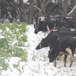 Tough winter looms ahead