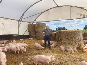 Bryan Tucker’s Wairarapa farm is testament to the pork producer’s strong commitment to the environment.