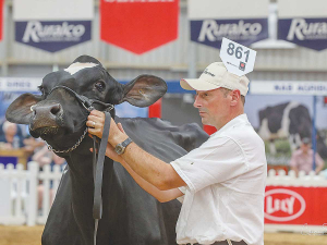 Dean Malcolm with Australian International Dairy Week star Bluechip Hero Marion.