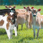 Well-fed newborns set for life