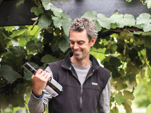 Greystone winemaker Dom Maxwell.