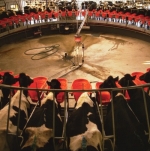 Milking smarter