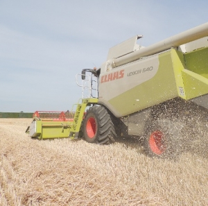 Harvest humming along nicely