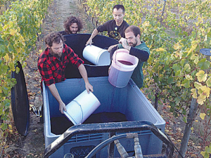 Hand picked grapes are delivered straight to the outdoor fermenter.