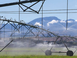Irrigation systems must be efficient.