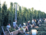 NZCFSA is inviting applications for the next event, from families that have had worked their land since 1926 or earlier.