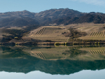 Water Watch: Grape Days Central Otago