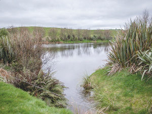 Waterways are crying out for better nutrient management.