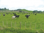 A Canterbury dairy farm has been penalised for employment law breaches in what the Labour Inspectorate says &quot;not uncommon&quot; mistake in holiday entitlements.