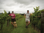 North Canterbury wine region rising with confidence
