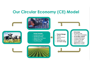 Verdus Energy unveils biomass conversion tech for carbon-negative farming
