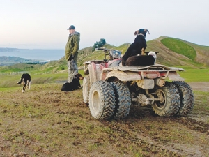 Dual wheel quad bike.