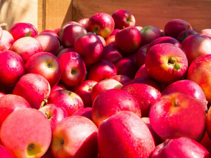 Talks underway over stonefruit, apple impasse