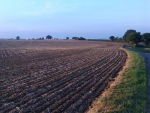 Kiwis make their mark at world ploughing champs