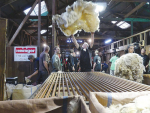 Local Heiniger shearing equipment rep, Geoff Holmes, pitches in during the 24-hour Shearathon raising money for suicide prevention and mental health promotion in the shearing industry. 