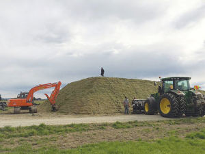 Make hay while the sun shines