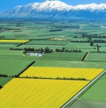 Rangitata farm environment plan template approved   