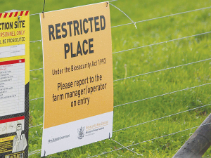 Four years into the attempt to eradicate M. bovis from New Zealand, only one infected property remains in the country.