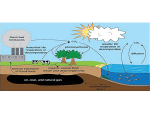 Plants need carbon dioxide to survive to complete their life cycle and put oxygen back into the atmosphere.