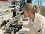Emerging Research: Rebecca Strange