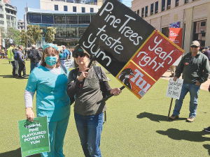 Rural people concerned about the Government’s forestry policies descended on Wellington in late November.