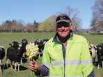Taniwha Station: The Bull Beef Farm Famed for Daffodils