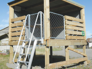 The Oroua Bobby Calf loader on display at the Central District Field Days.