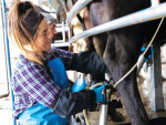 DairyNZ have provided advice, tools and resources to support dairy farmers in keeping their teams safe during lockdown.