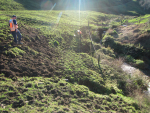 Waikato Regional Council officers responding to reports of a contaminated Matapara Stream.