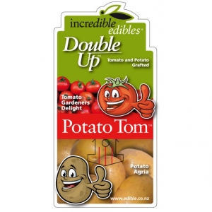 Potato Tom a probable world first