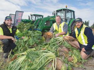 Team members Henry Williams, left, Andrew Stewart and Tim Wilson with the fodder beet that has been used for machinery demonstrations in previous years, but has been dropped for 2021.