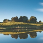 Whenua Matua Lake.