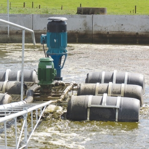 Nitrogen from effluent diminishes the longer the effluent is stored.