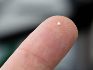 amaea&#039;s molecularly imprinted polymers are tiny absorbent beads.