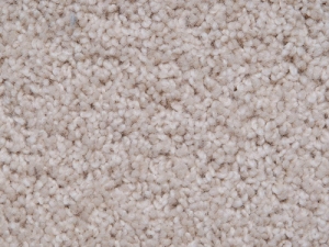 Carrfields Primary Wool&#039;s Just Shorn carpet.