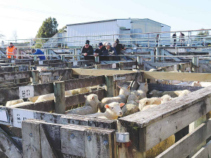 NZ has a proud reputation as the producer of some of the best food in the world.