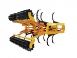 Gascon Chisel Plow.