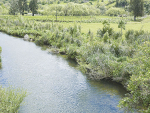 A planting project in the Waikato came to an end recently.