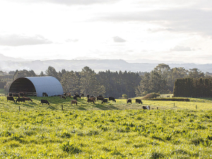 DairyNZ claims NAWA seems to have lost sight of the overall purpose of the dairy welfare code.